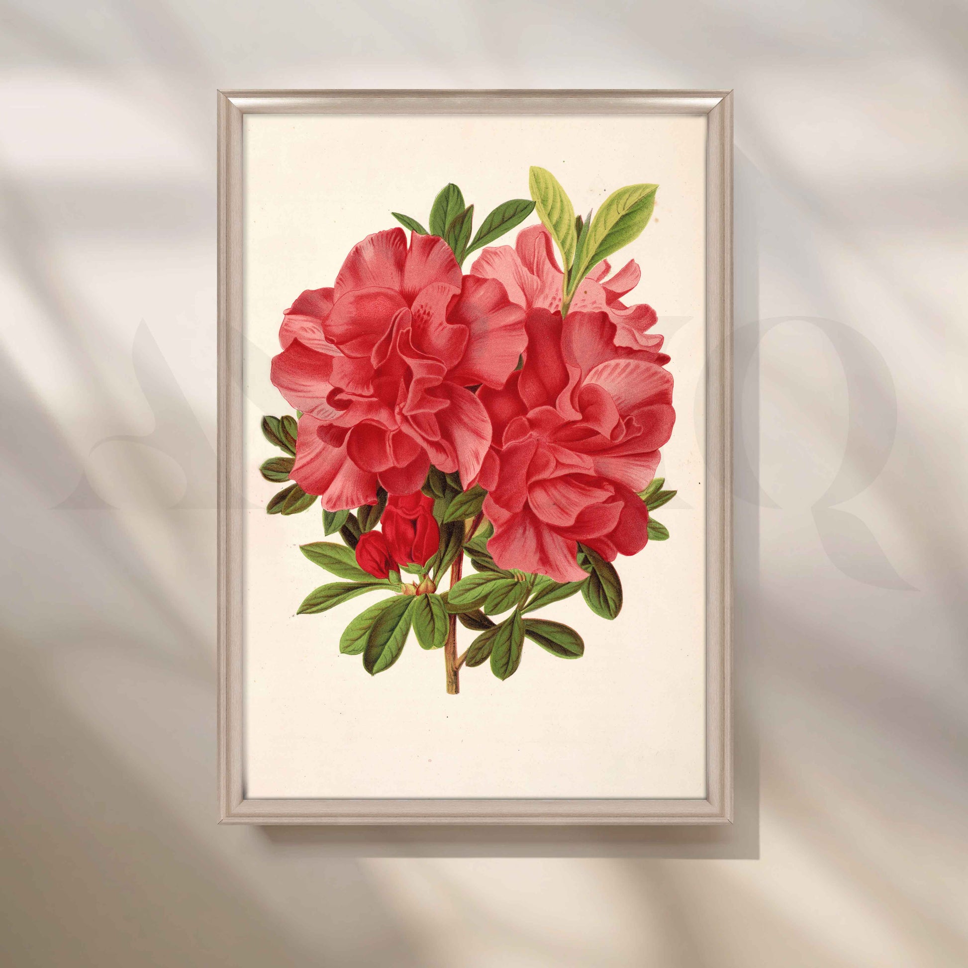 Vintage Red Floral Botanical Canvas Artwork for Stylish Bedroom