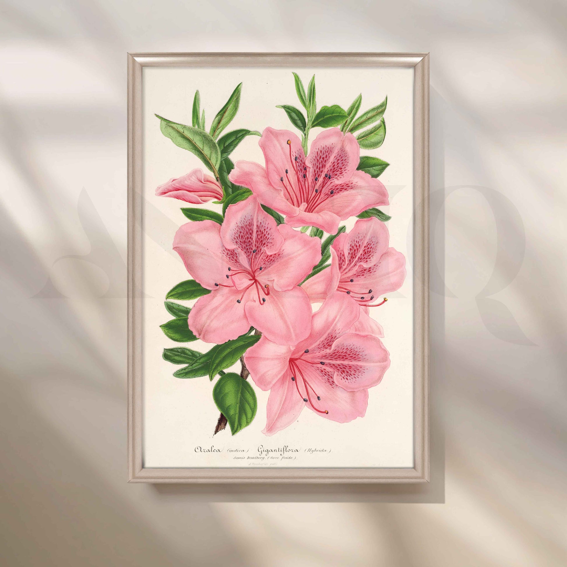 Soft Pink Azalea Botanical Canvas Artwork for Stylish Bedroom