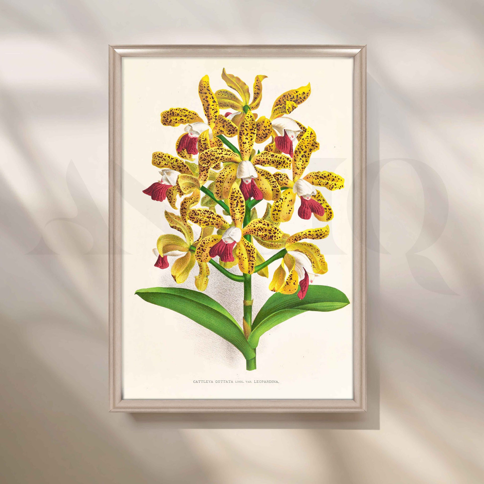 Vintage Yellow Orchid Botanical Canvas Artwork for Living Room