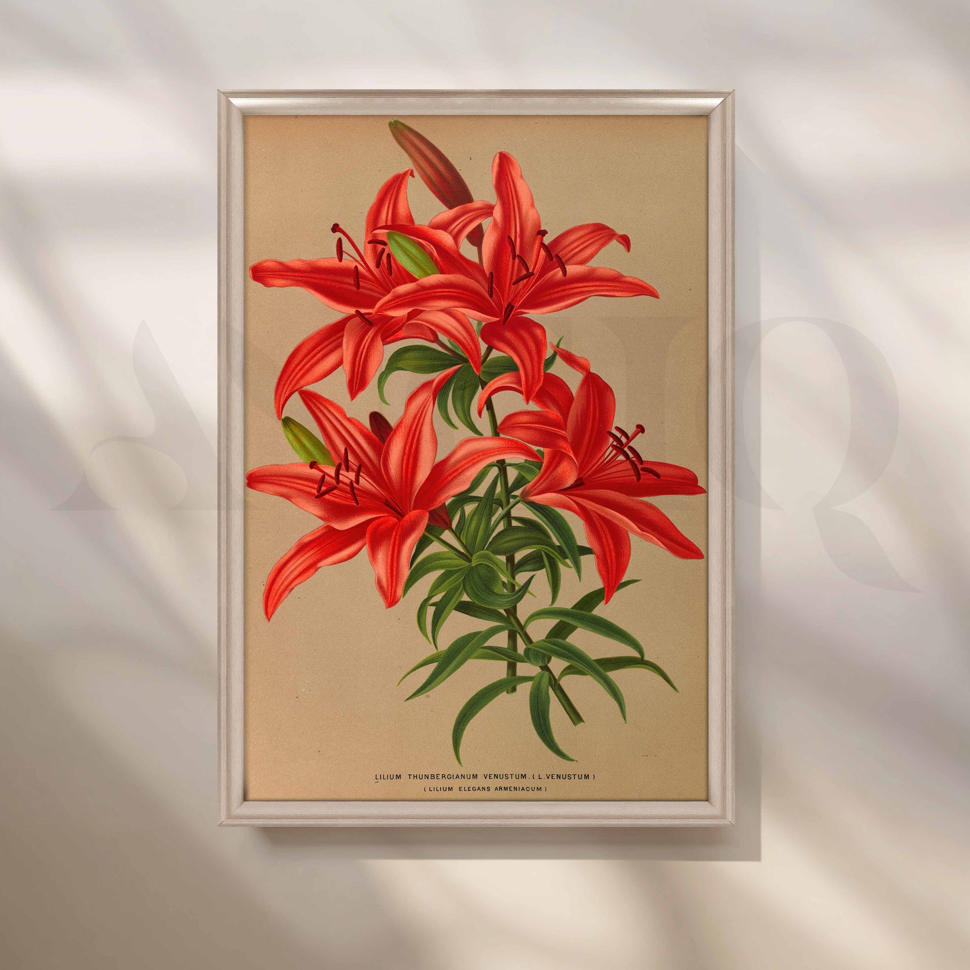 Vintage Red Lily Botanical Canvas Artwork for Entryway/Hallway
