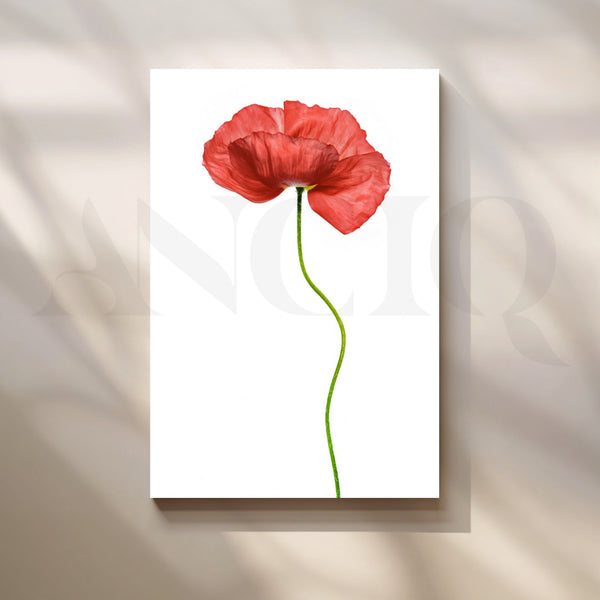 Scarlet Whisper Canvas Artwork