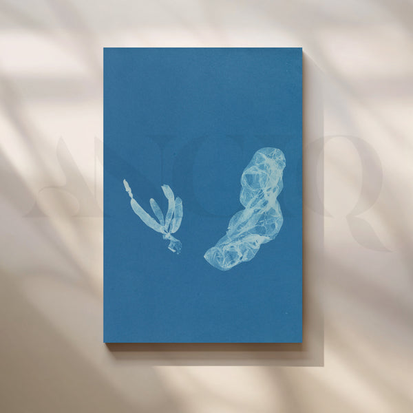 Seaform Shadows Canvas Artwork