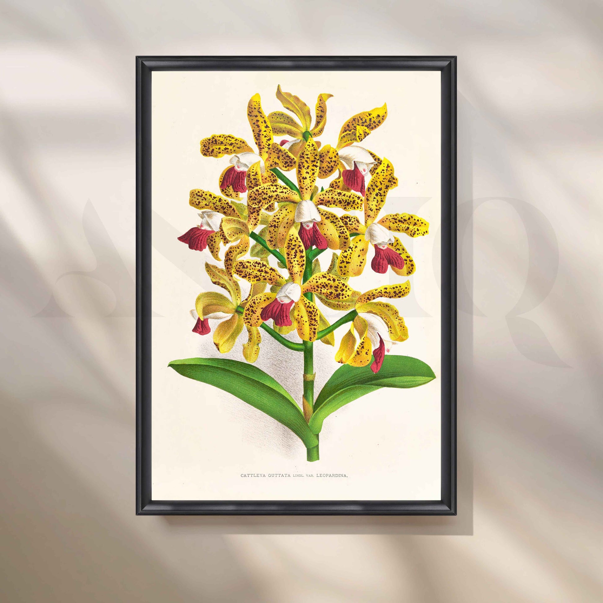 Vintage Yellow Orchid Botanical Canvas Artwork for Living Room