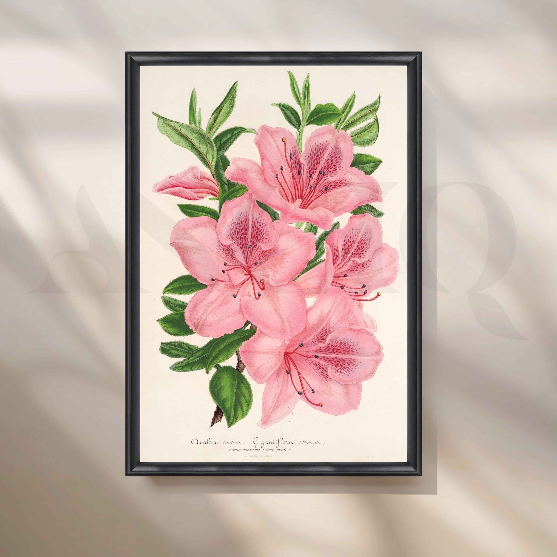 Soft Pink Azalea Botanical Canvas Artwork for Stylish Bedroom