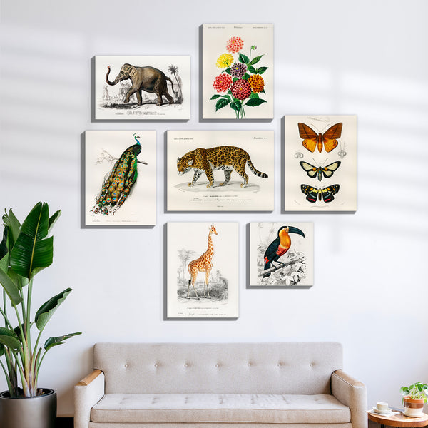 Vintage Wildlife & Botanical Gallery Wall Canvas Artwork Set of 7